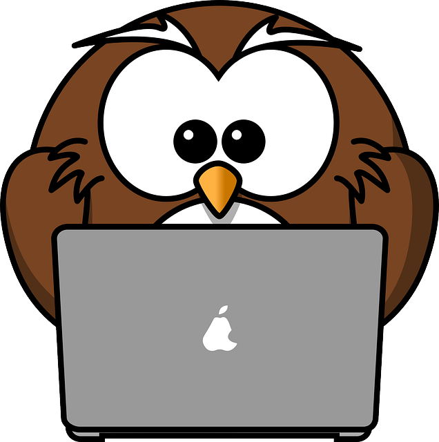 Owl with Computer